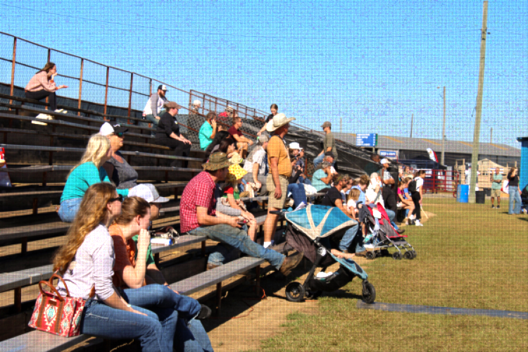 people and horses at the Sunbelt Ag Expo